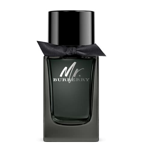 mr burberry parfum macys|mr Burberry indigo price.